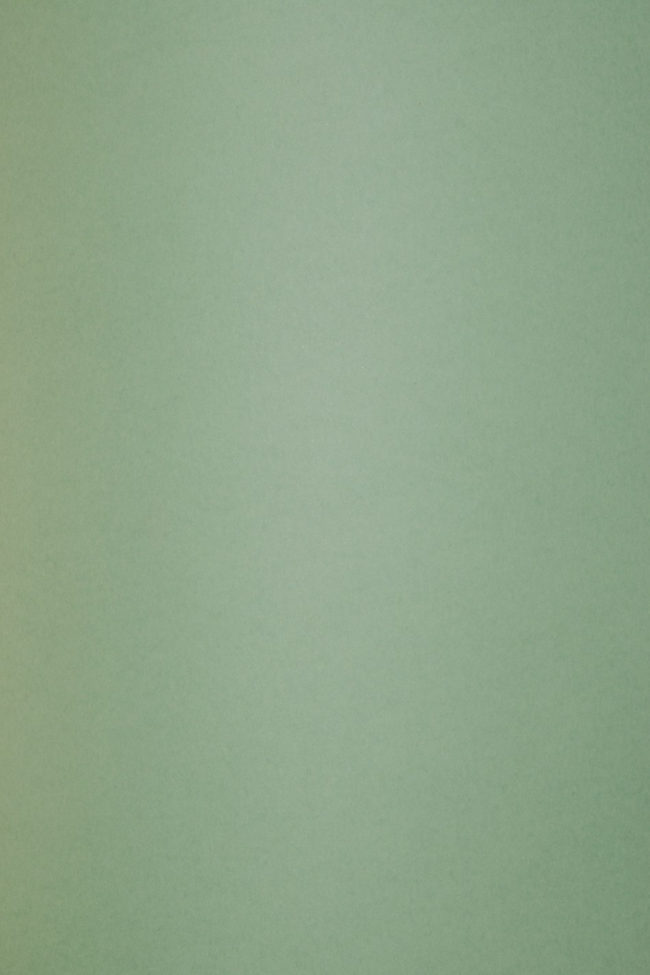 Papier Keaykolour 300g Matcha Tea pak. 10A4 Papier Keaykolour 300g Matcha Tea pak. 10A4