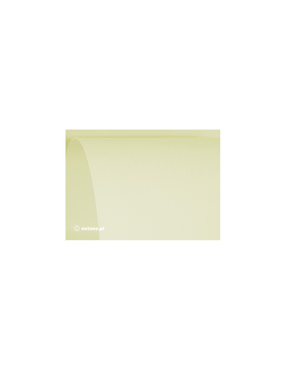 Papier Aster 250g Prążki ecru pak. 100A4 Papier Aster 250g Prążki ecru pak. 100A4
