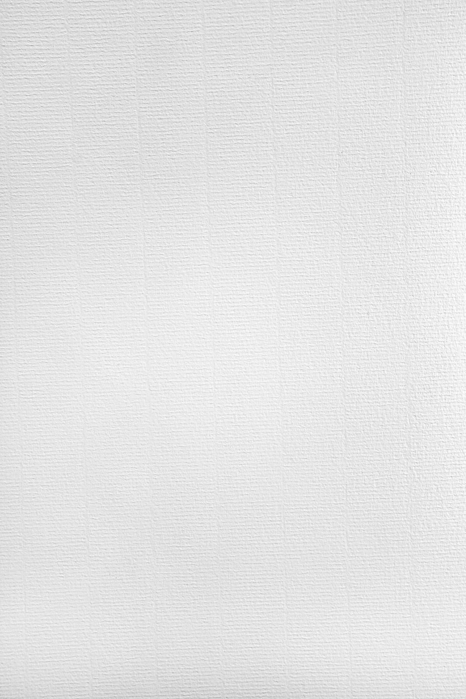 Papier vergé blanc 220g Aster Laid White - 20 feuilles A4 Papier vergé blanc 220g Aster Laid White - 20 feuilles A4