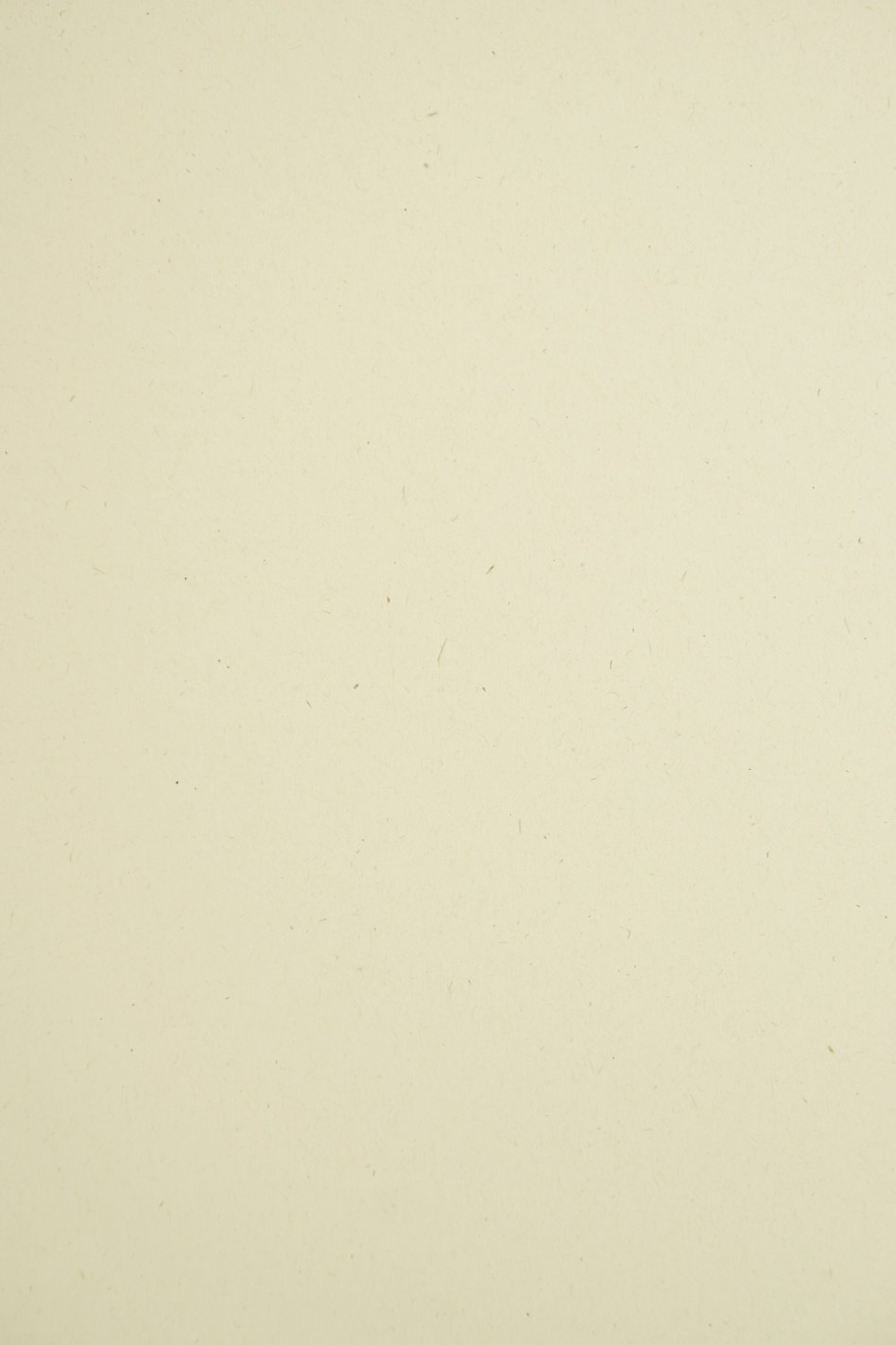 Papier Woodstock Betulla 110g ecru pak. 10A4 Papier Woodstock Betulla 110g ecru pak. 10A4