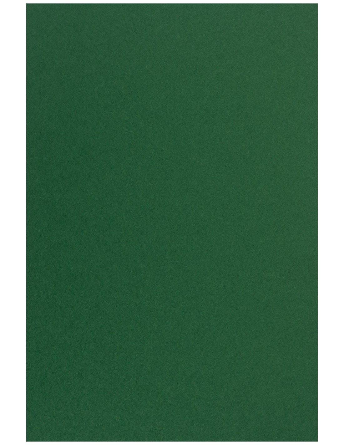 Papier coloré vert foncé 170g Sirio Color Foglia - 20 feuilles A4 Papier coloré vert foncé 170g Sirio Color Foglia - 20 feuilles A4