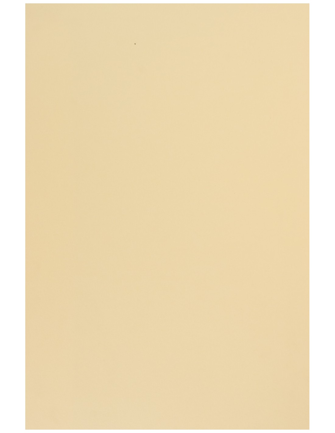 Papier coloré vanille 170g Sirio Color Paglierino - 20 feuilles A4 Papier coloré vanille 170g Sirio Color Paglierino - 20 feuilles A4