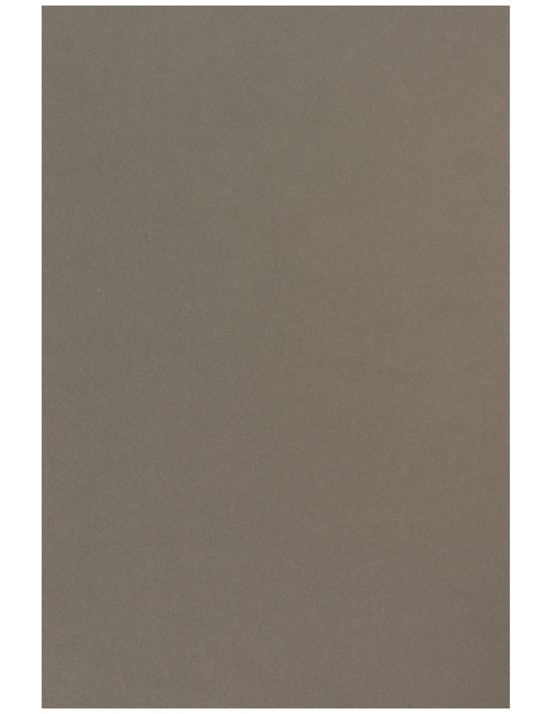 Papier coloré gris 170g Sirio Color Pietra - 20 feuilles A4 Papier coloré gris 170g Sirio Color Pietra - 20 feuilles A4