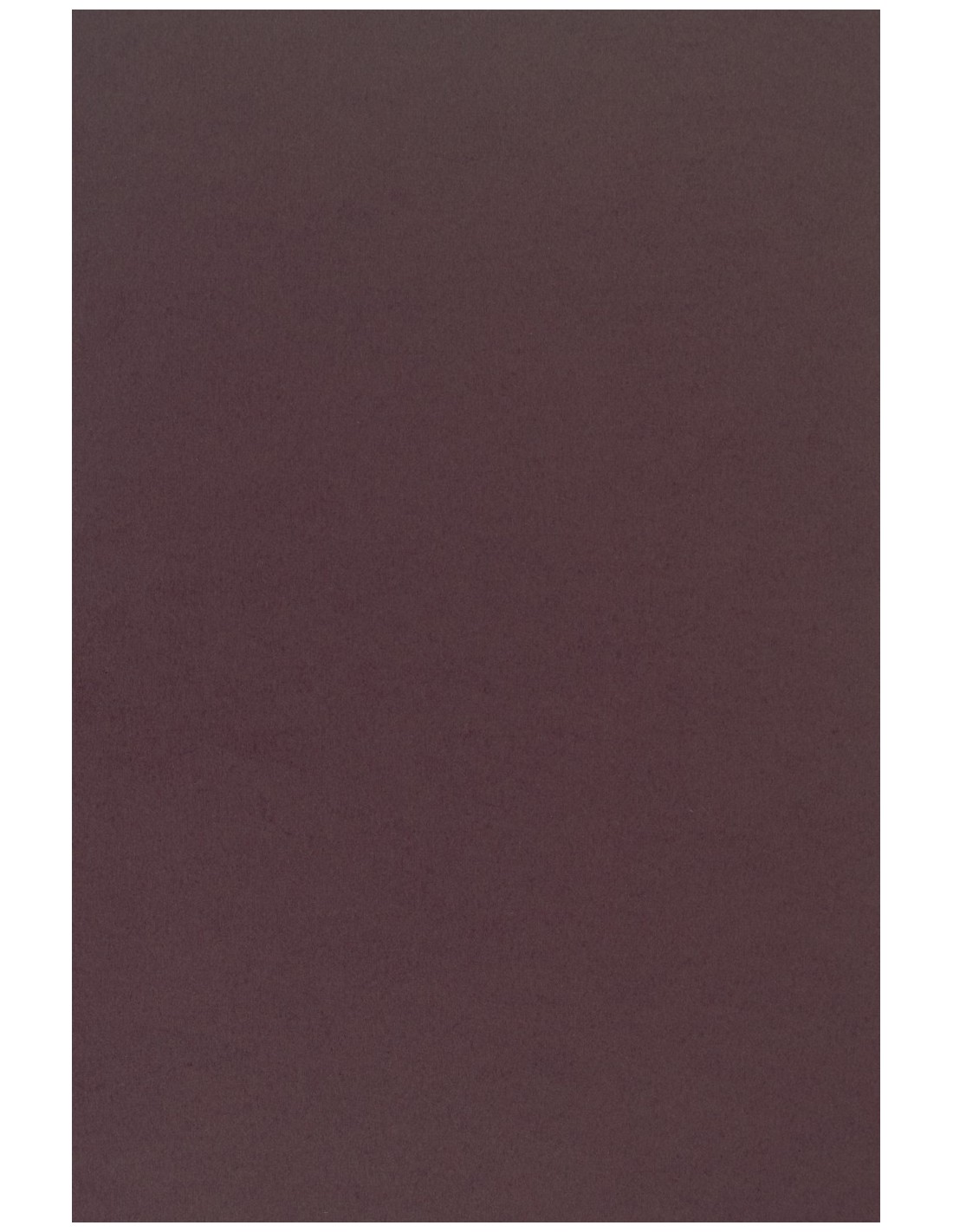 Papier coloré violet foncé 210g Sirio Color Vino - 25 feuilles A4 Papier coloré violet foncé 210g Sirio Color Vino - 25 feuilles A4