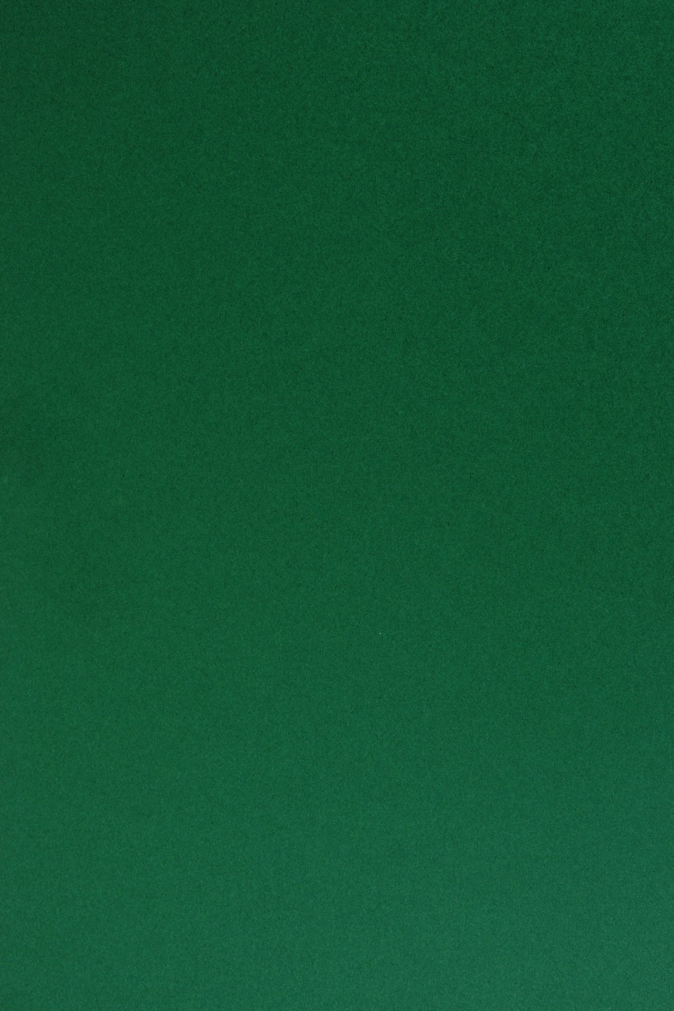 Papier coloré vert foncé 210g Sirio Color Foglia - 25 feuilles A4 Papier coloré vert foncé 210g Sirio Color Foglia - 25 feuilles A4