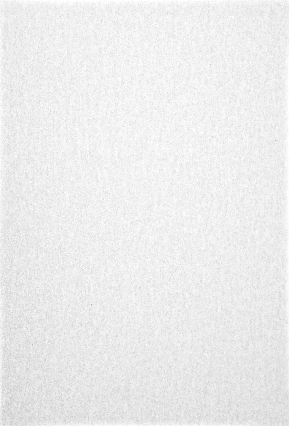 Papier décoratif semi-transparent blanc 230g Pergamenata Bianco blanc 10 feuilles A4 Papier décoratif semi-transparent blanc 230g Pergamenata Bianco blanc 10 feuilles A4
