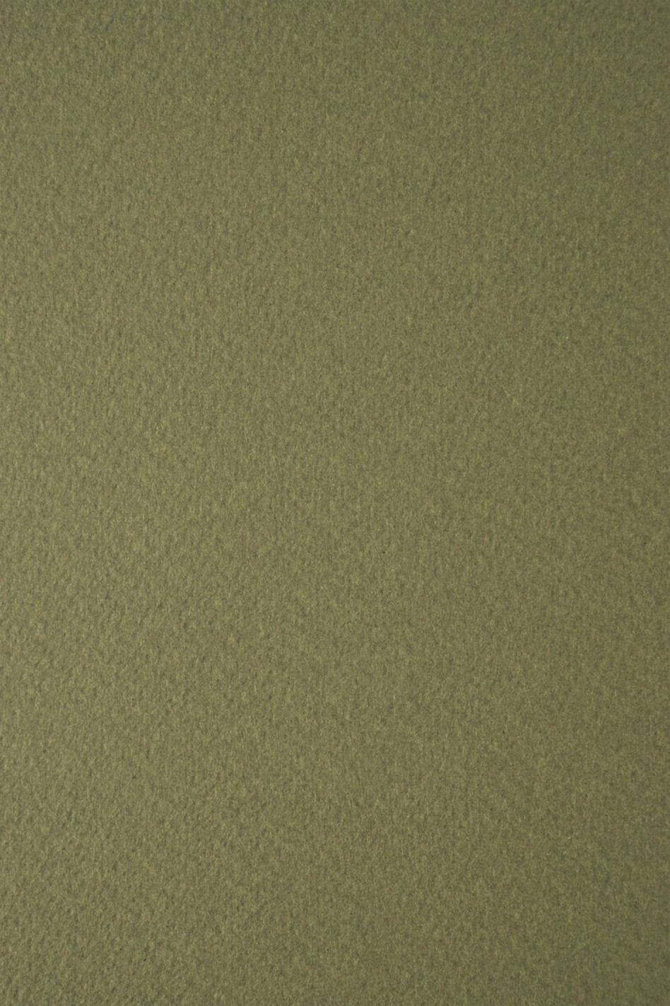 Papier coloré structuré vert 250g Tintoretto Wasabi - 10 feuilles A4 Papier coloré structuré vert 250g Tintoretto Wasabi - 10 feuilles A4