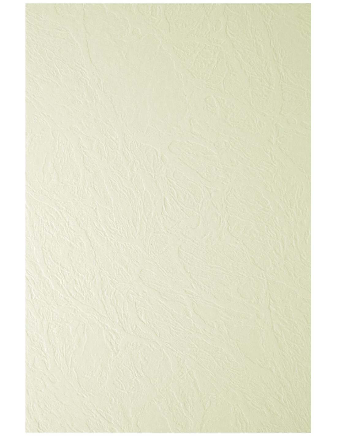 Papier texturé cuir écru 246g Elfenbein Leath Chamois - 100 feuilles A4 Papier texturé cuir écru 246g Elfenbein Leath Chamois - 100 feuilles A4