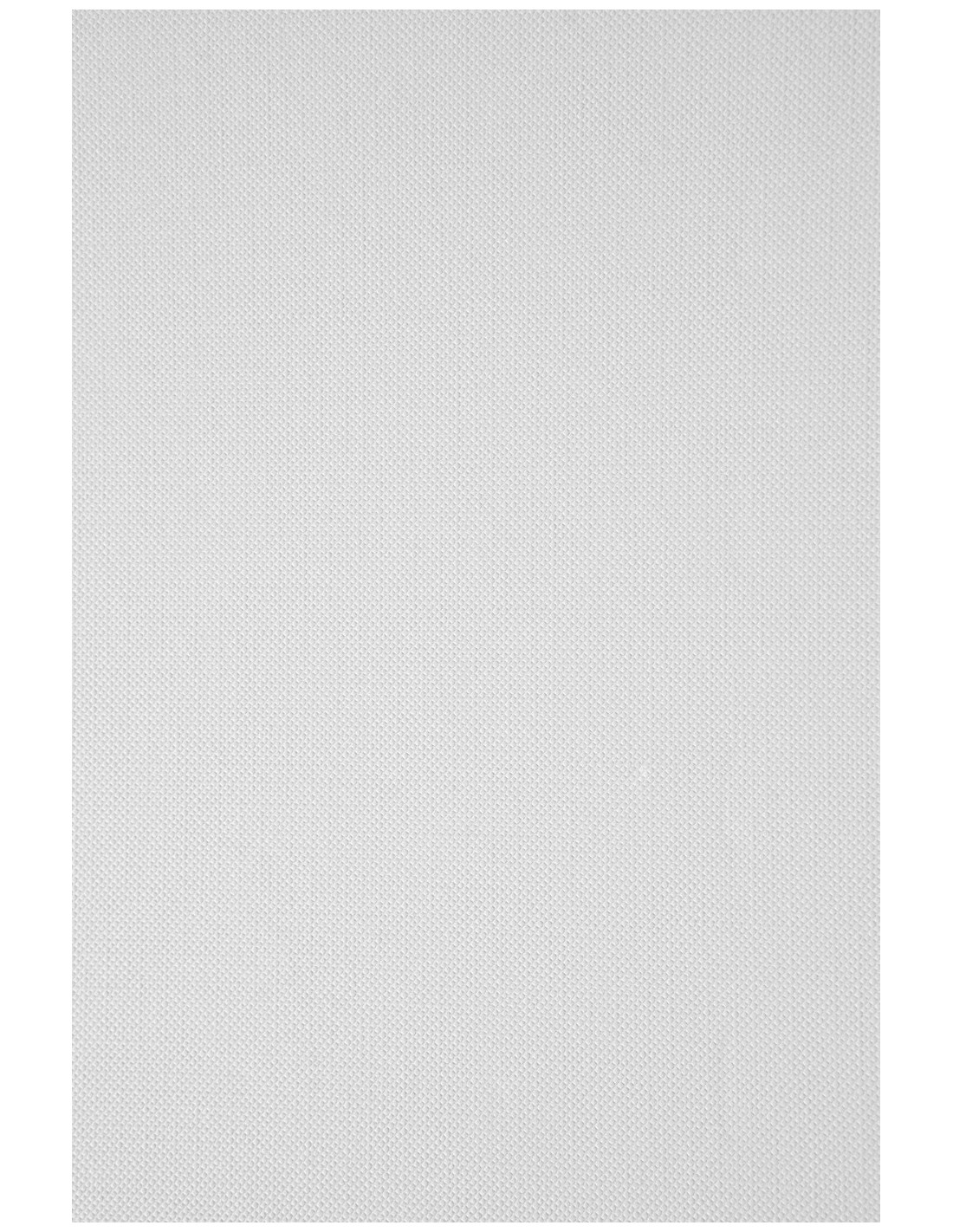 Papier texturé trame blanc 246g Elfenbein White - 100 feuilles A4 Papier texturé trame blanc 246g Elfenbein White - 100 feuilles A4