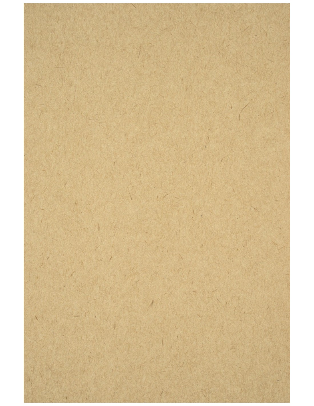 Papier ordinaire décoratif écologique EKO Kraft LUX 280g marron avec fibres em. 20A4 Papier ordinaire décoratif écologique EKO Kraft LUX 280g marron avec fibres em. 20A4