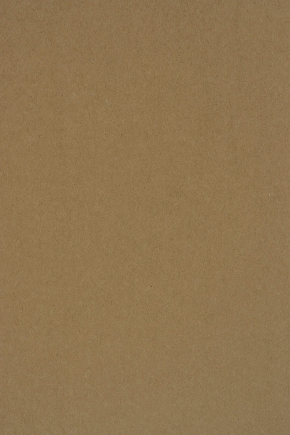 Papier ordinaire décoratif écologique Kraft EKO PLUS 340g marron em. 100A4 Papier ordinaire décoratif écologique Kraft EKO PLUS 340g marron em. 100A4