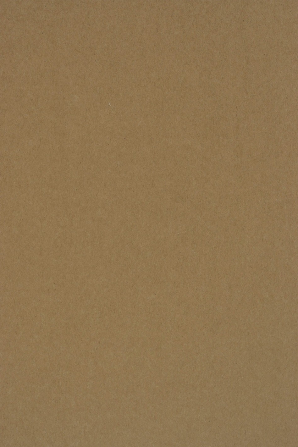 Papier ordinaire décoratif écologique Kraft EKO PLUS 400g marron em. 20A4 Papier ordinaire décoratif écologique Kraft EKO PLUS 400g marron em. 20A4