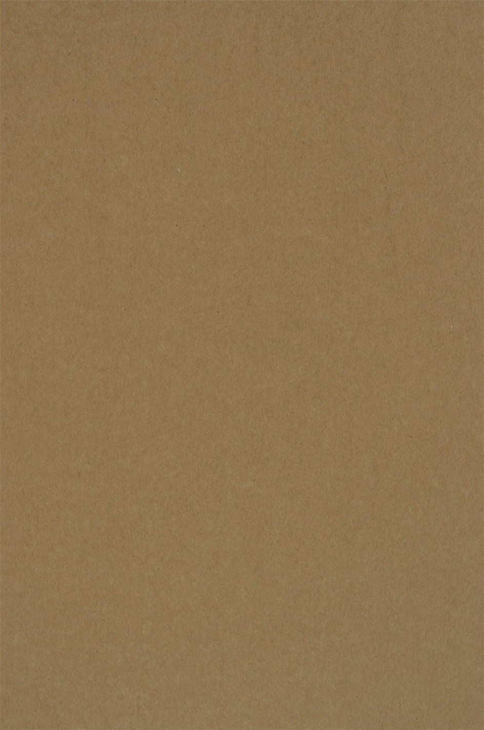 Papier ordinaire décoratif écologique Kraft EKO PLUS 340g marron em. 200A5 Papier ordinaire décoratif écologique Kraft EKO PLUS 340g marron em. 200A5