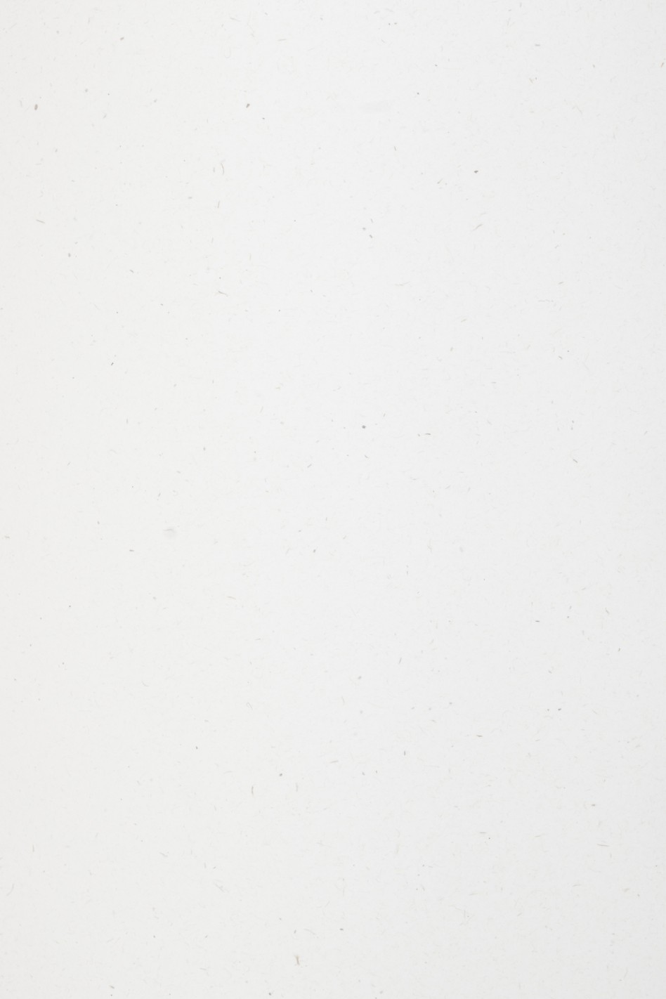 Papier ozdobny Flora 130g Anice 72x102 R250 Papier ozdobny Flora 130g Anice 72x102 R250