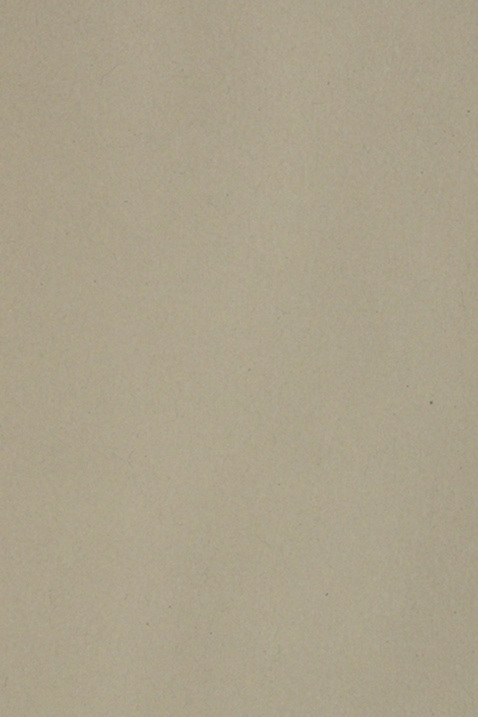 Papier Burano 250g B14 Pietra 70x100 R100 Papier Burano 250g B14 Pietra 70x100 R100