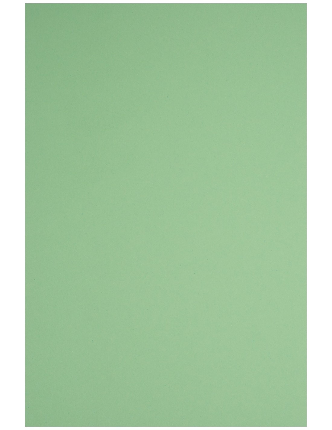 Papier ordinaire décoratif coloré écologique Woodstock 170g Verde vert 70x100 R200 Papier ordinaire décoratif coloré écologique Woodstock 170g Verde vert 70x100 R200