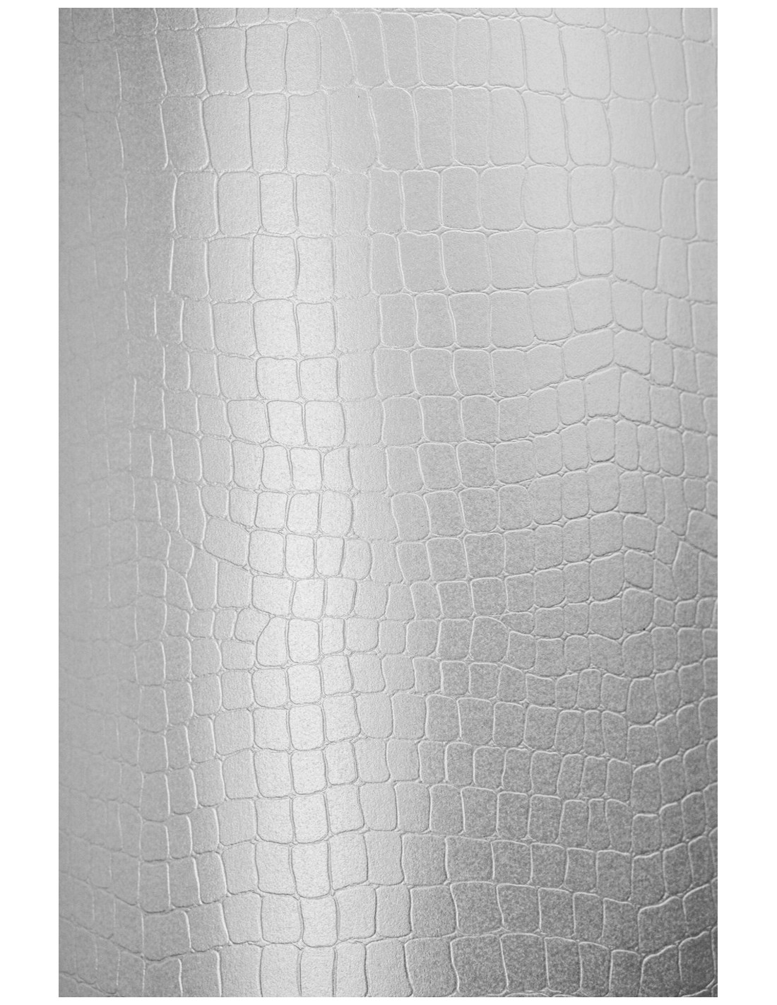 Papier perlé gaufré sur une face 215g Constellation Jade Armadillo (70x100cm) Papier perlé gaufré sur une face 215g Constellation Jade Armadillo (70x100cm)