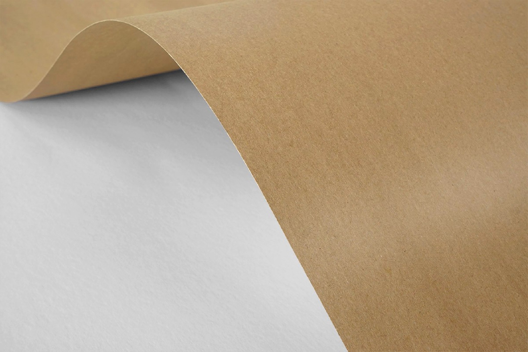 Papier ordinaire décoratif écologique Kraft EKO 300g marron 70x100 R100 Papier ordinaire décoratif écologique Kraft EKO 300g marron 70x100 R100