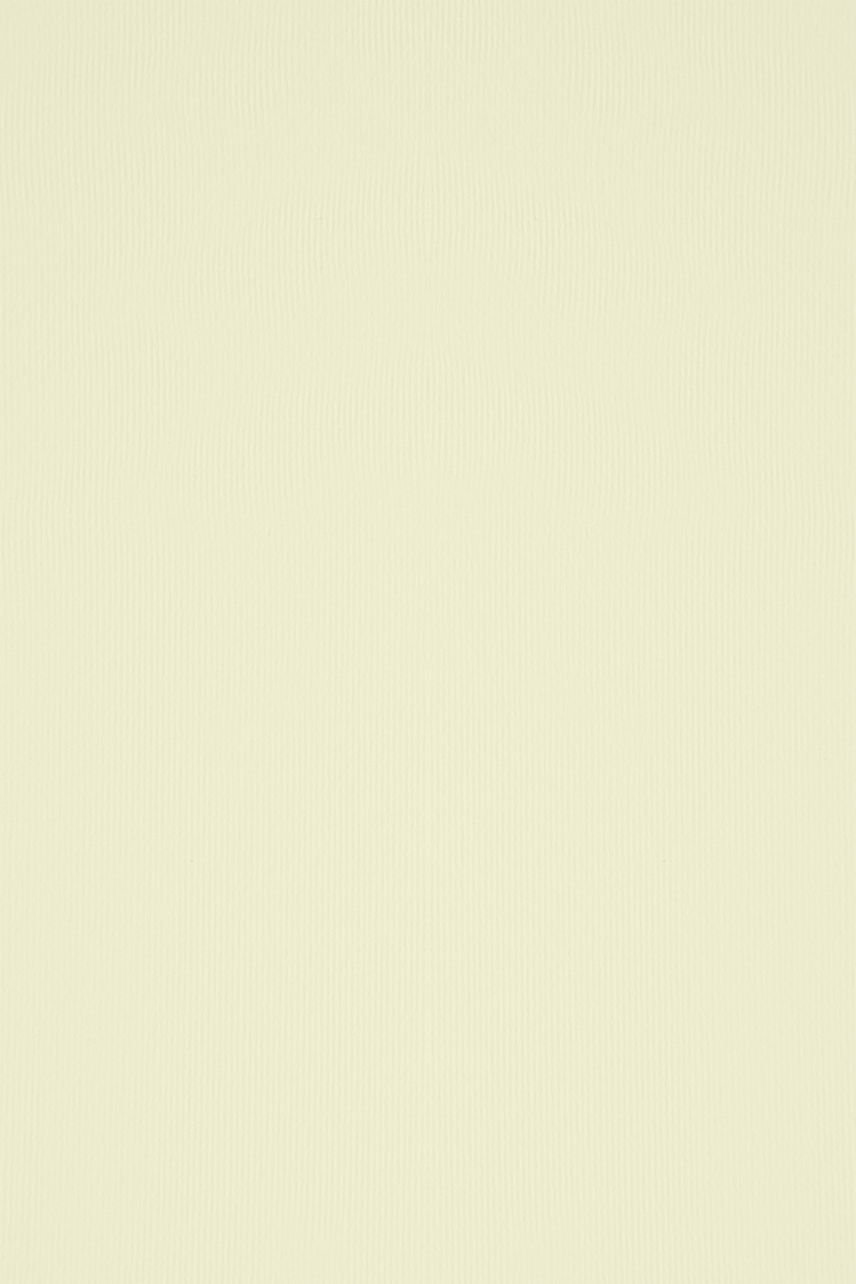Papier Acquerello 100g Avorio 72x101 R250 Papier Acquerello 100g Avorio 72x101 R250