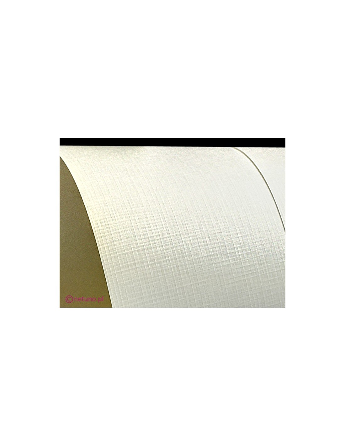 Papier Aster 250g Kratka Cream 61x86 R100 Papier Aster 250g Kratka Cream 61x86 R100