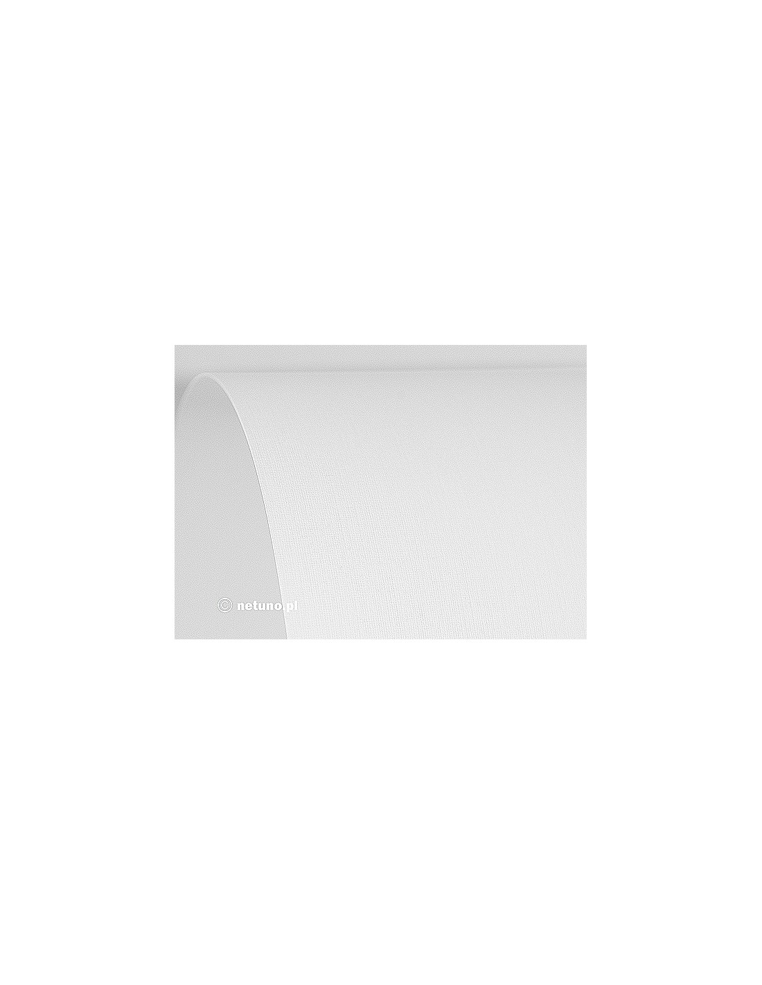Papier Aster 250g Płótno White 61x86 R100 Papier Aster 250g Płótno White 61x86 R100