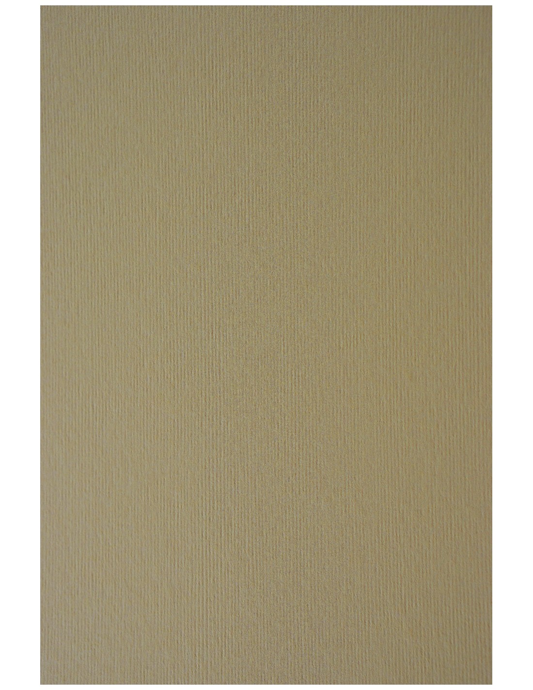 Papier Nettuno 215g Grigio pak. 10A4 Papier Nettuno 215g Grigio pak. 10A4