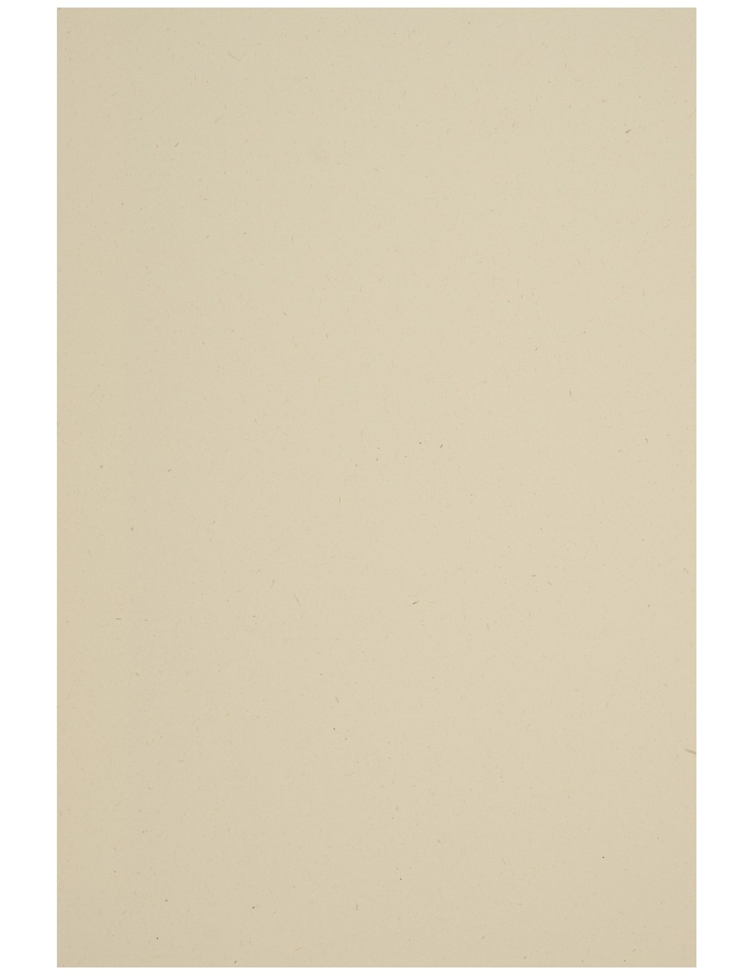 Papier ozdobny kolorowy gładki Woodstock 285g Betulla ecru pak. 10A3 Papier ozdobny kolorowy gładki Woodstock 285g Betulla ecru pak. 10A3