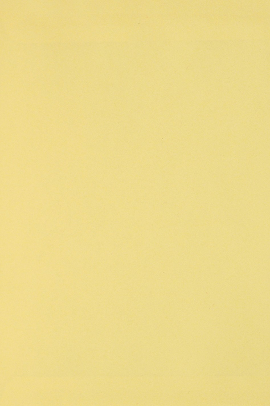 Papier ozdobny gładki kolorowy Burano 250g Giallo B07 pak. 10A5 Papier ozdobny gładki kolorowy Burano 250g Giallo B07 pak. 10A5
