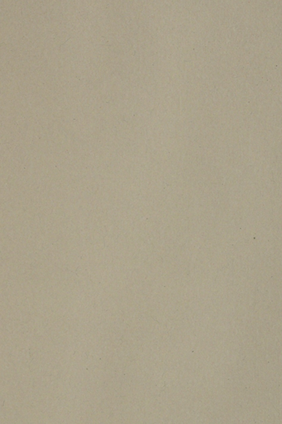 Papier ozdobny gładki kolorowy Burano 250g Pietra B14 pak. 10A5 Papier ozdobny gładki kolorowy Burano 250g Pietra B14 pak. 10A5