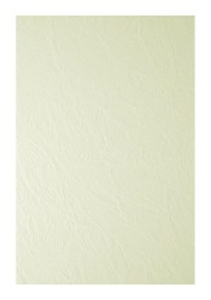 Papier ozdobny wizytówkowy fakturowany Elfenbens 246g Skóra ecru pak. 20A5