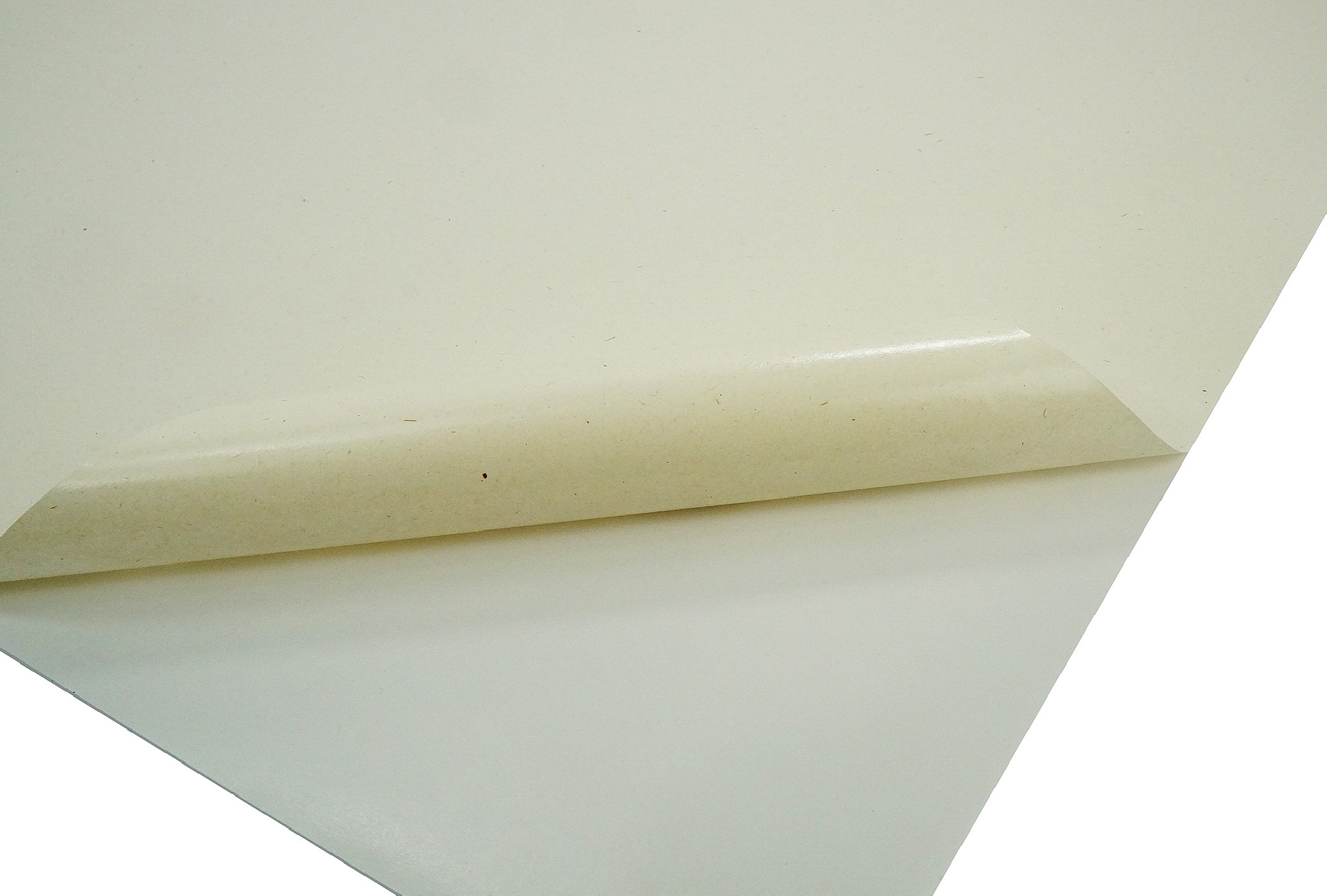 Papier samoprzylepny ekologiczny Woodstock 80g Betulla 50x70 R175 Papier samoprzylepny ekologiczny Woodstock 80g Betulla 50x70 R175