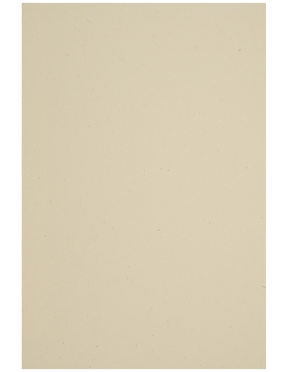 Papier ozdobny ekologiczny Woodstock 225g Betulla ecru pak. 10A5 Papier ozdobny ekologiczny Woodstock 225g Betulla ecru pak. 10A5