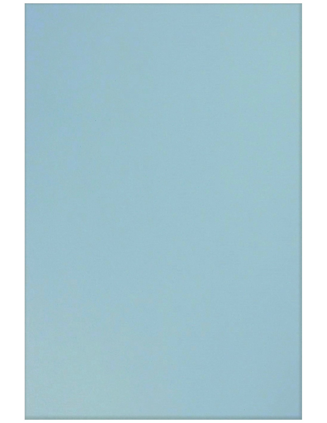 Papier coloré bleu clair 210g Sirio Color Celeste - 25 feuilles A4 Papier coloré bleu clair 210g Sirio Color Celeste - 25 feuilles A4