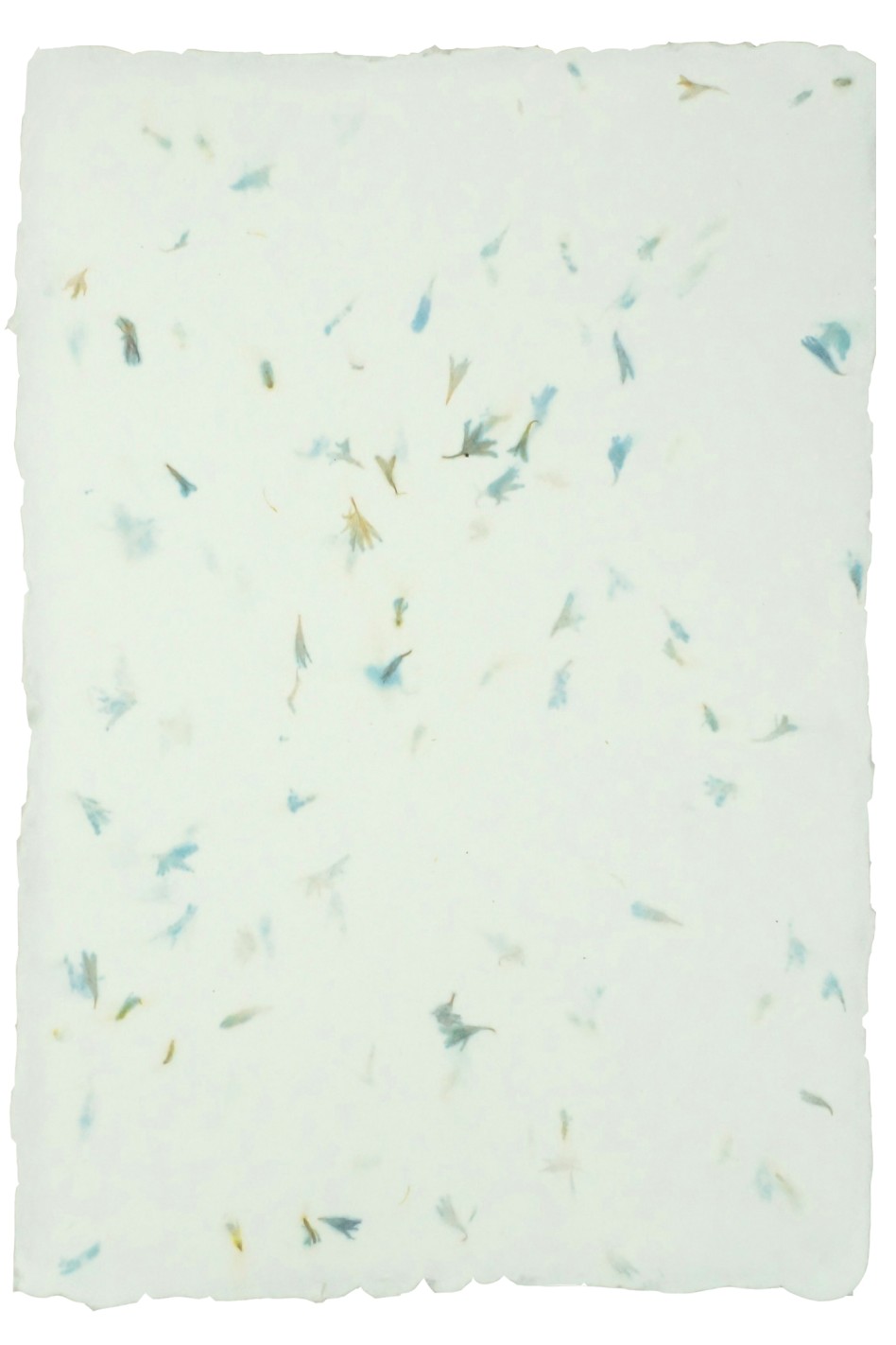 Papier czerpany kwiatowy - bławatek 5A4 Papier czerpany kwiatowy - bławatek 5A4