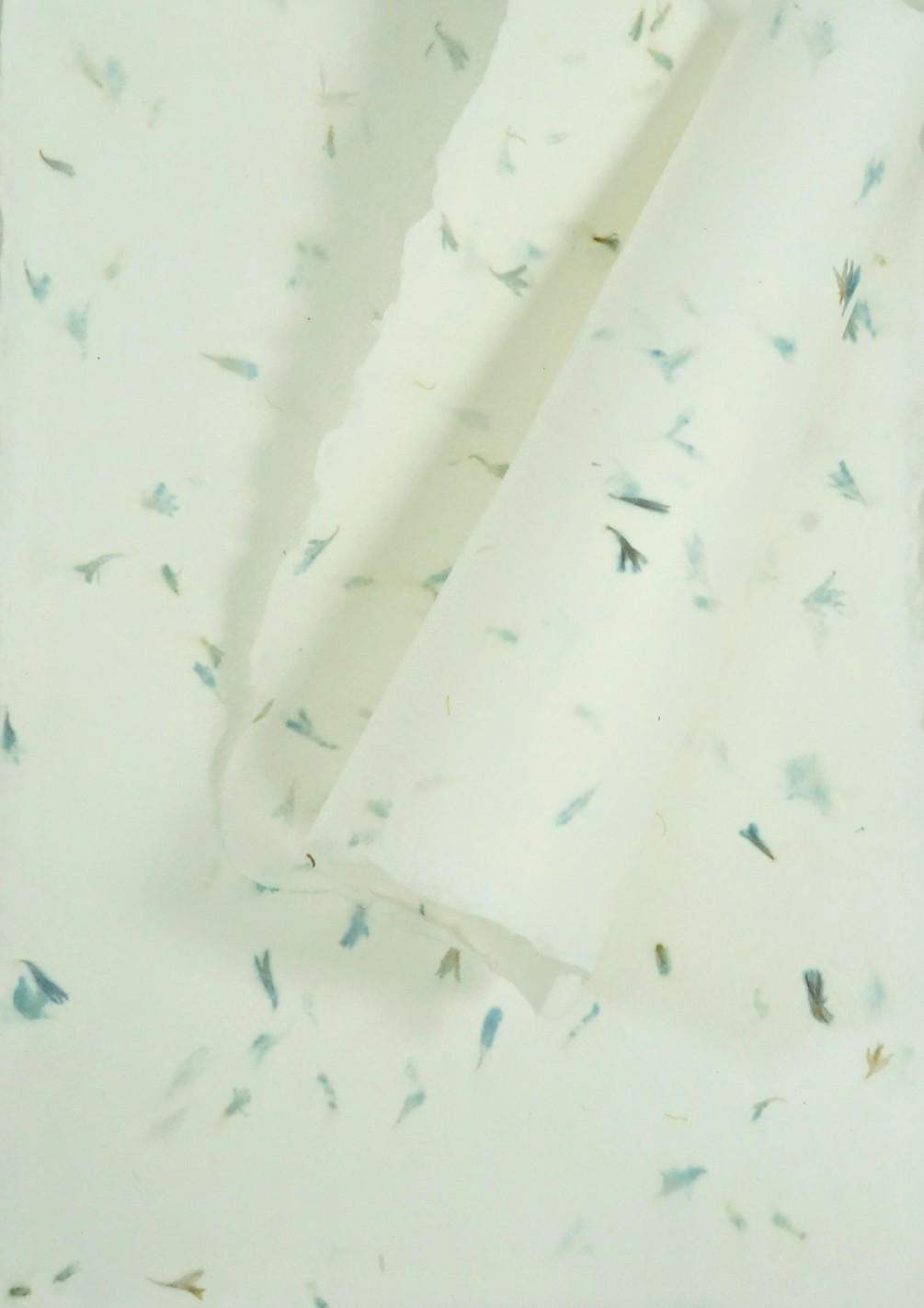 Papier czerpany kwiatowy - bławatek 5A4 Papier czerpany kwiatowy - bławatek 5A4