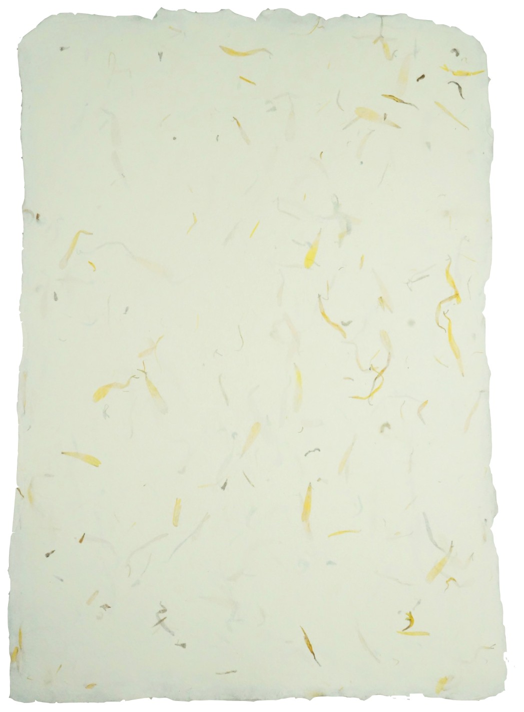 Papier czerpany kwiatowy - nagietek 5A4 Papier czerpany kwiatowy - nagietek 5A4