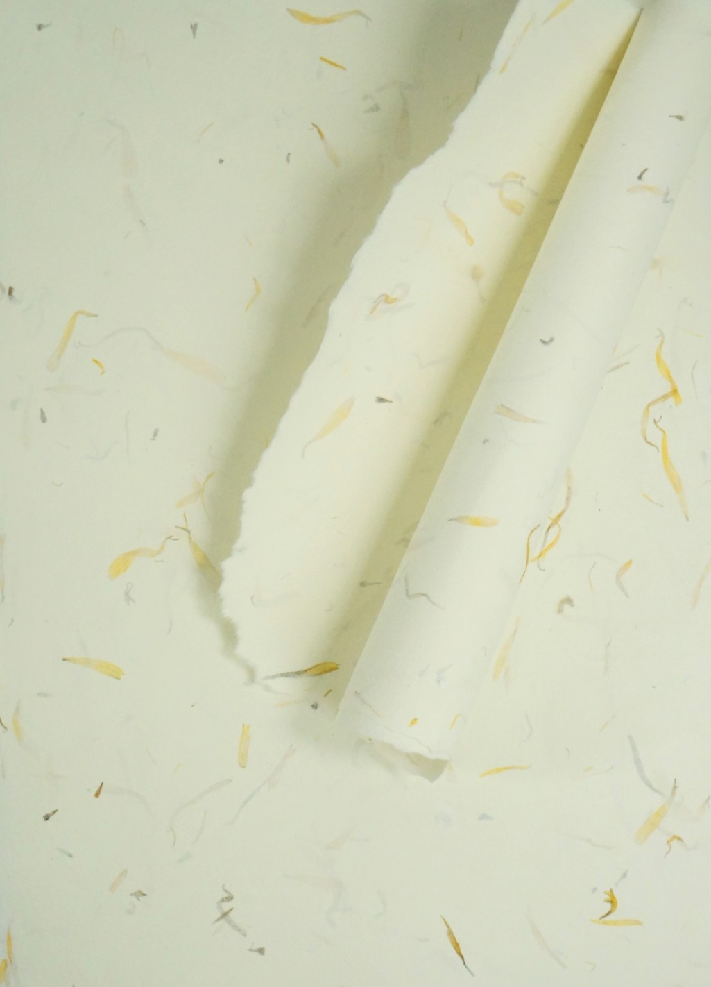 Papier czerpany kwiatowy - nagietek 5A4 Papier czerpany kwiatowy - nagietek 5A4