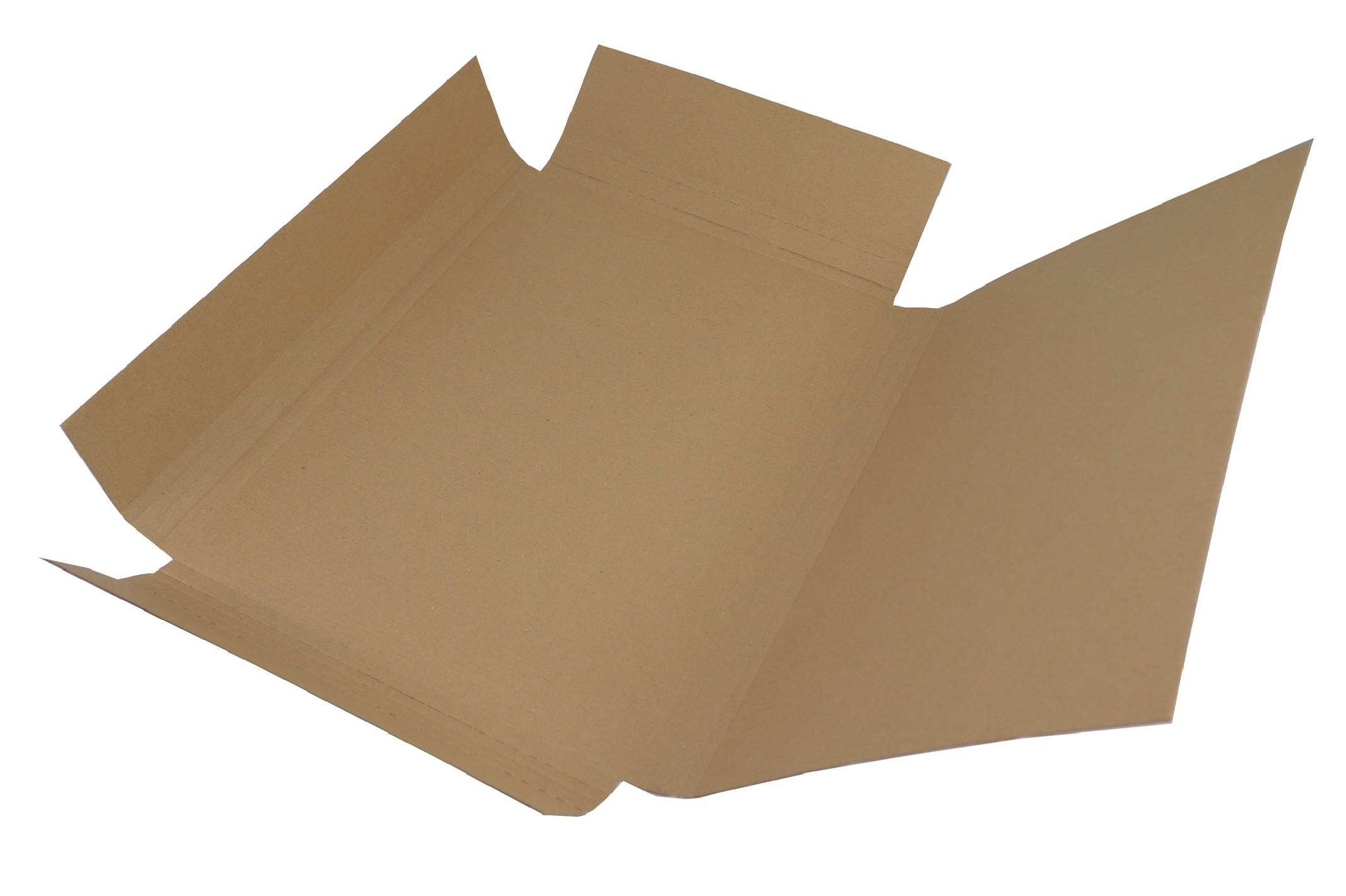 Karton teczka z bigami 43x30,1x4cm 50szt. Karton teczka z bigami 43x30,1x4cm 50szt.