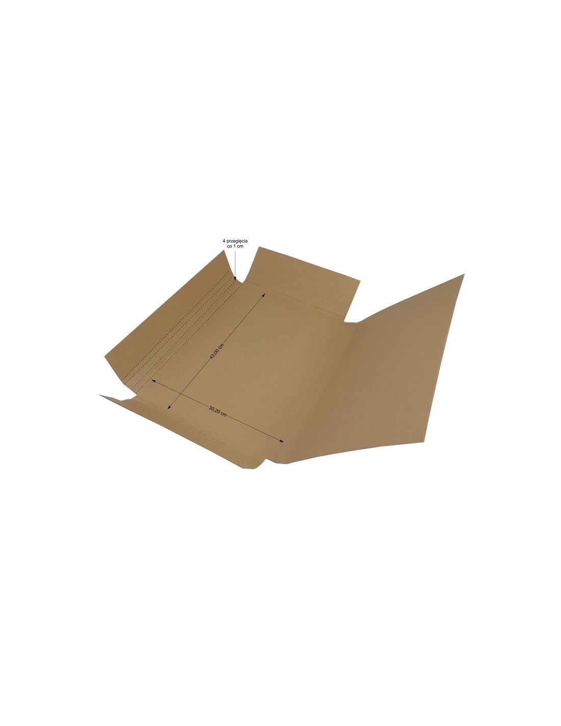 Karton teczka z bigami 43x30,1x4cm 50szt. Karton teczka z bigami 43x30,1x4cm 50szt.