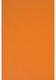 Papier Rainbow 160g R26 int pomarańczowy pak 250A4