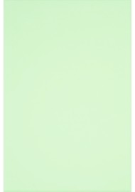 Papier Rainbow 160g R72 jasny zielony 250A4