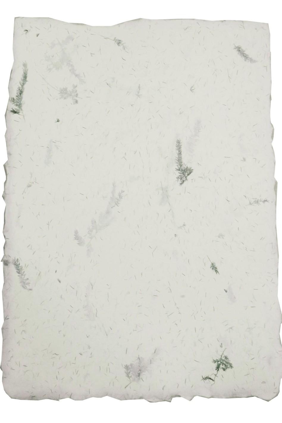 Papier czerpany kwiatowy - asparagus 5A4 Papier czerpany kwiatowy - asparagus 5A4