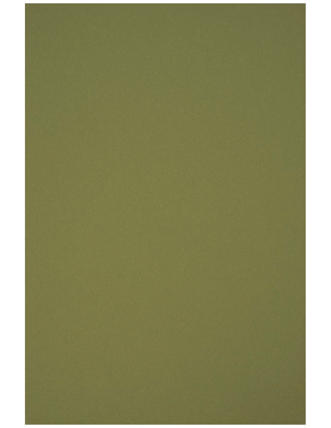 Papier ozdobny gładki kolorowy ekologiczny Circolor 80g Rosemary zielony pak. 500A4 Papier ozdobny gładki kolorowy ekologiczny Circolor 80g Rosemary zielony pak. 500A4