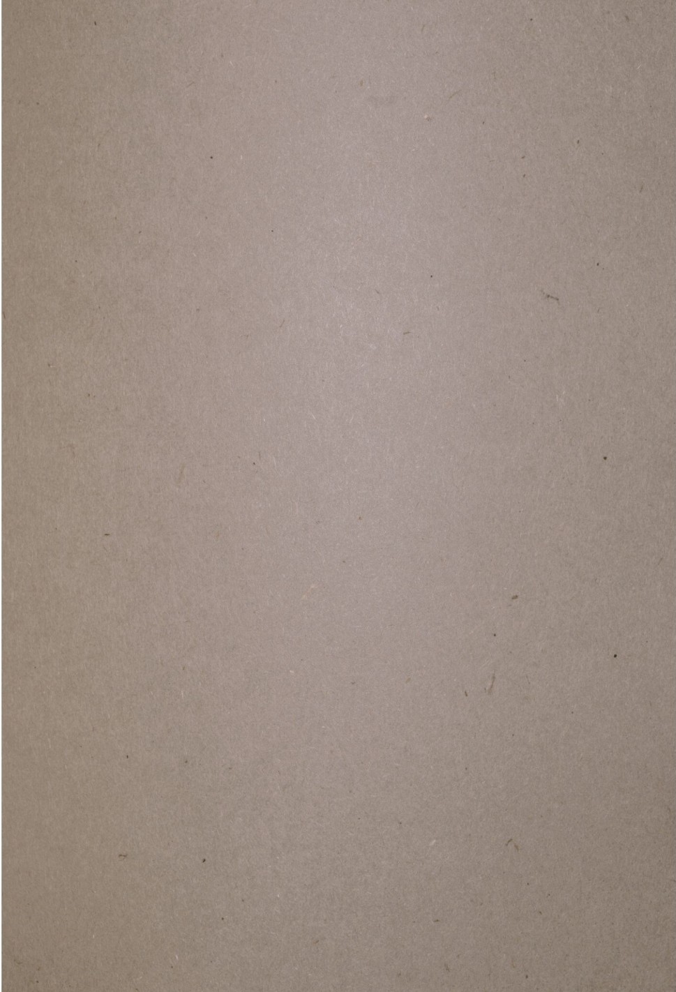 Papier ekologiczny ozdobny Flora 240g Crusca pak. 10A4 Papier ekologiczny ozdobny Flora 240g Crusca pak. 10A4