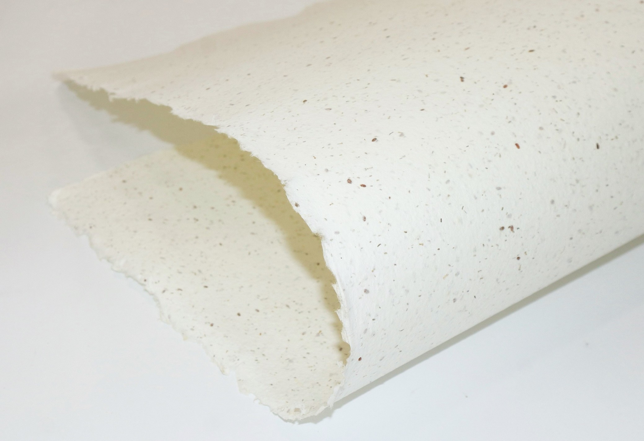 Papier ozdobny dekoracyjny czerpany rosnący z nasionami 180g 61x66cm R100 Papier ozdobny dekoracyjny czerpany rosnący z nasionami 180g 61x66cm R100