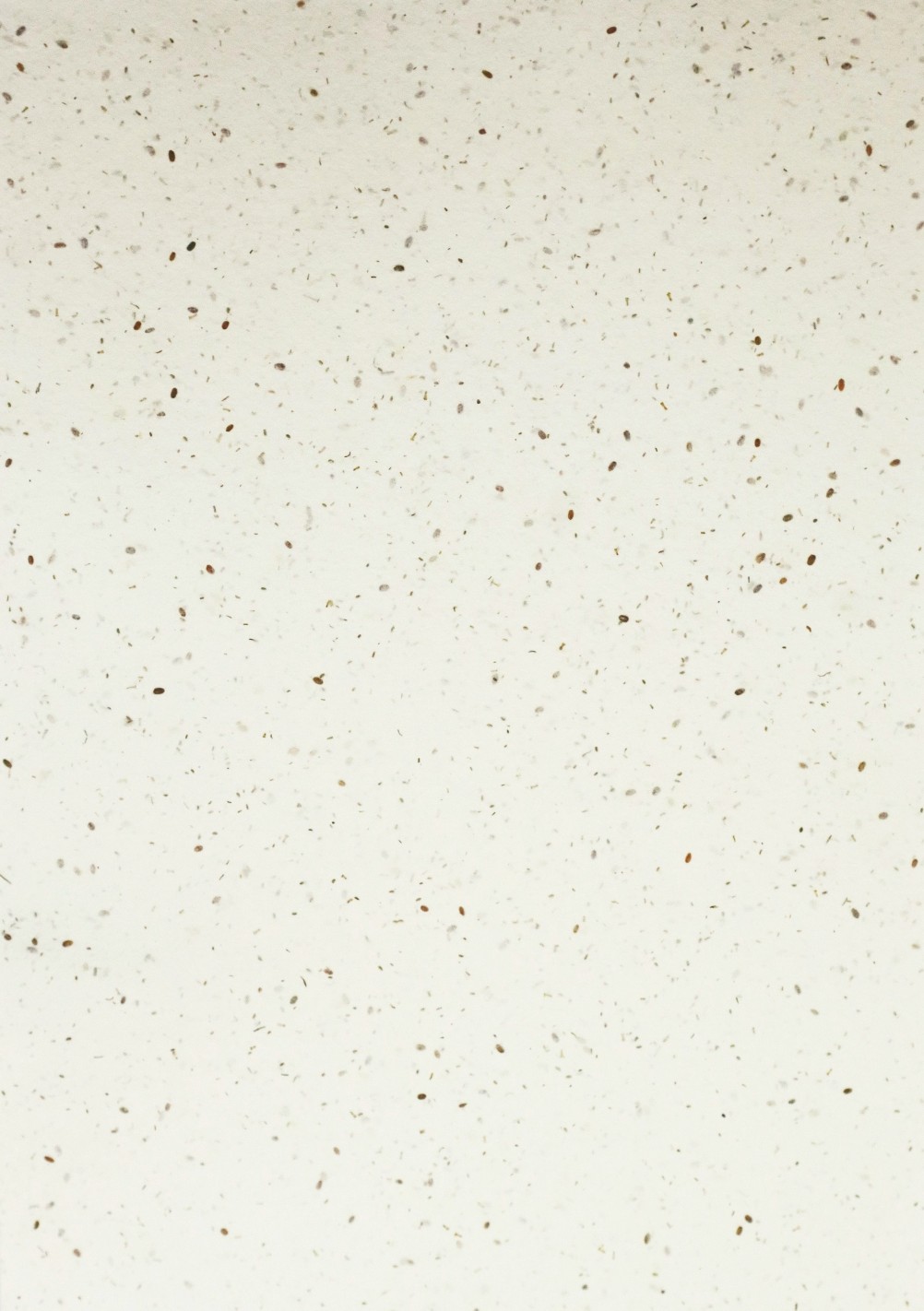 Papier ozdobny dekoracyjny czerpany rosnący z nasionami pak. 5A5 Papier ozdobny dekoracyjny czerpany rosnący z nasionami pak. 5A5