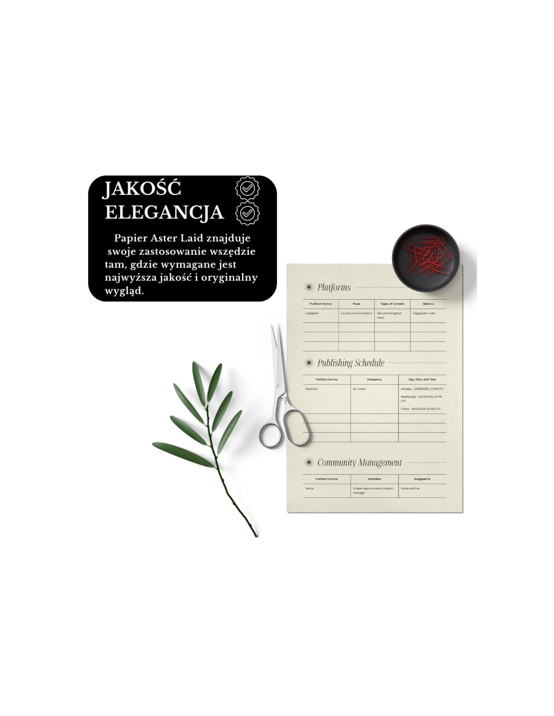 Papier vergé ivoire 120g Aster Laid Ivory - 50 feuilles A4 Papier vergé ivoire 120g Aster Laid Ivory - 50 feuilles A4
