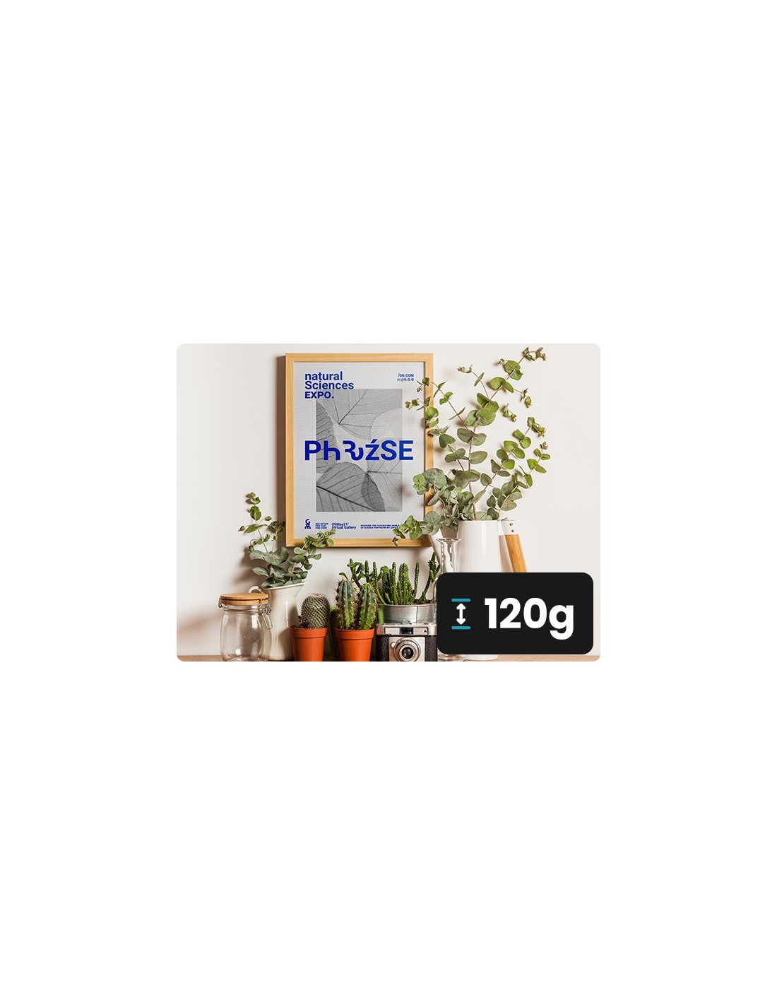 Papier vergé ivoire 120g Aster Laid Ivory - 50 feuilles A4 Papier vergé ivoire 120g Aster Laid Ivory - 50 feuilles A4