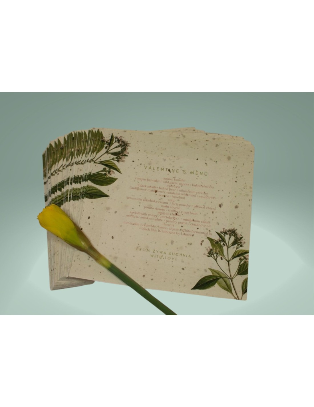 Papier ozdobny dekoracyjny czerpany rosnący z nasionami 180g pak. 5A4 Papier ozdobny dekoracyjny czerpany rosnący z nasionami 180g pak. 5A4