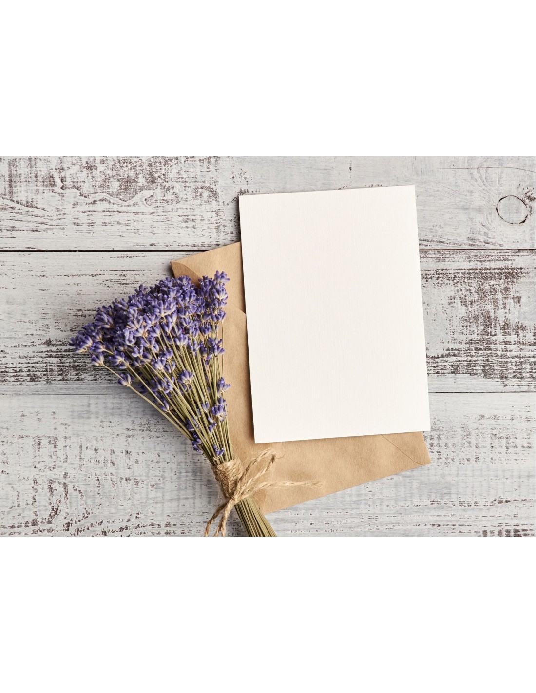 Papier ozdobny gładki Olin 240g Regular Soft Cream ecru 72x102 R125